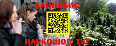 apvp Камышлов