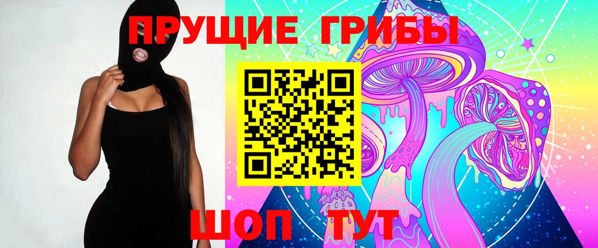 Псилоцибиновые грибы Psilocybe  Галлюциногенные грибы мухоморы  Чайковский  Вход с VPN 